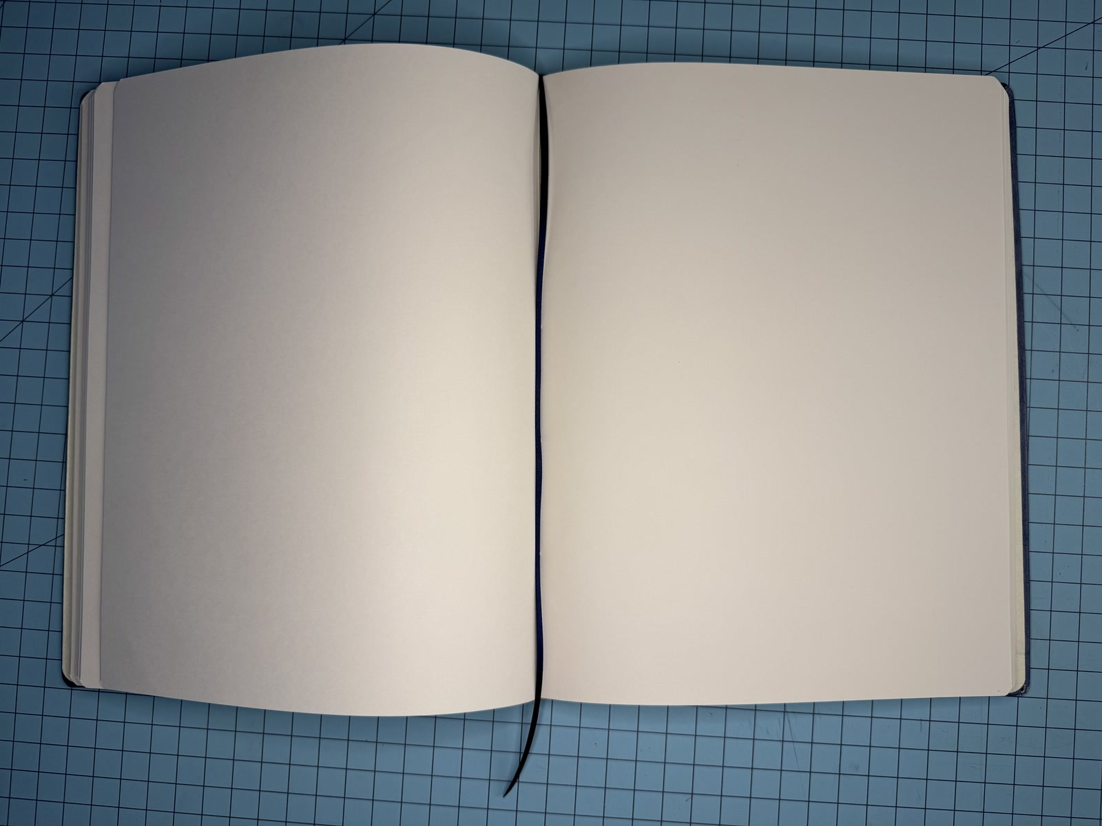 Ideation Journal Pair photo 4