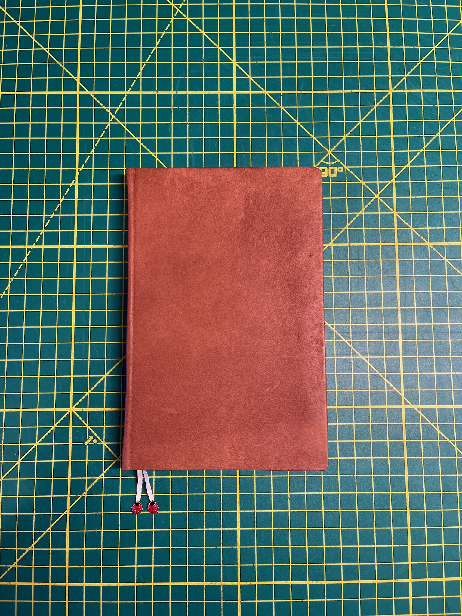 Ladybug Journal photo 1