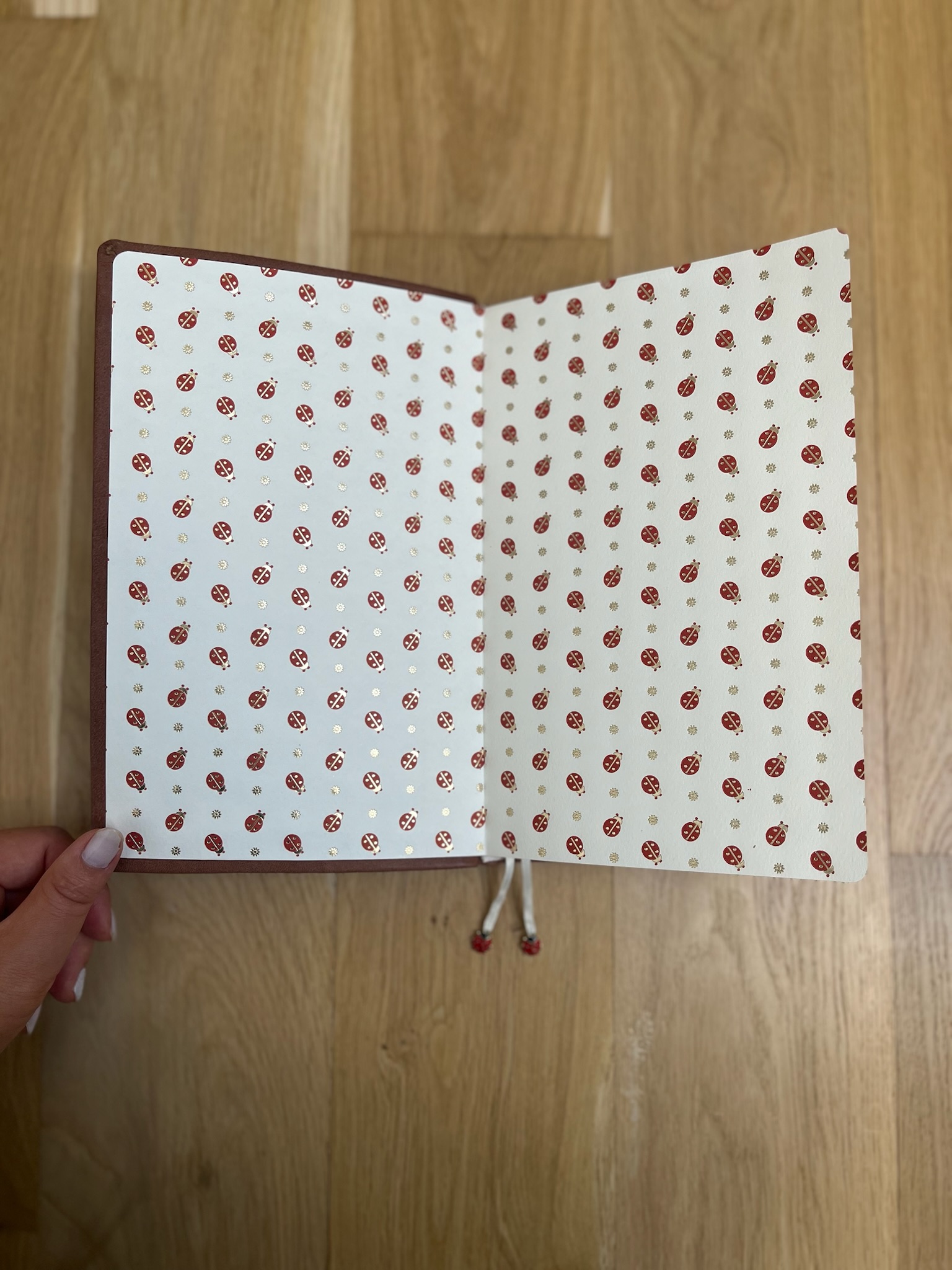 Ladybug Journal photo 2