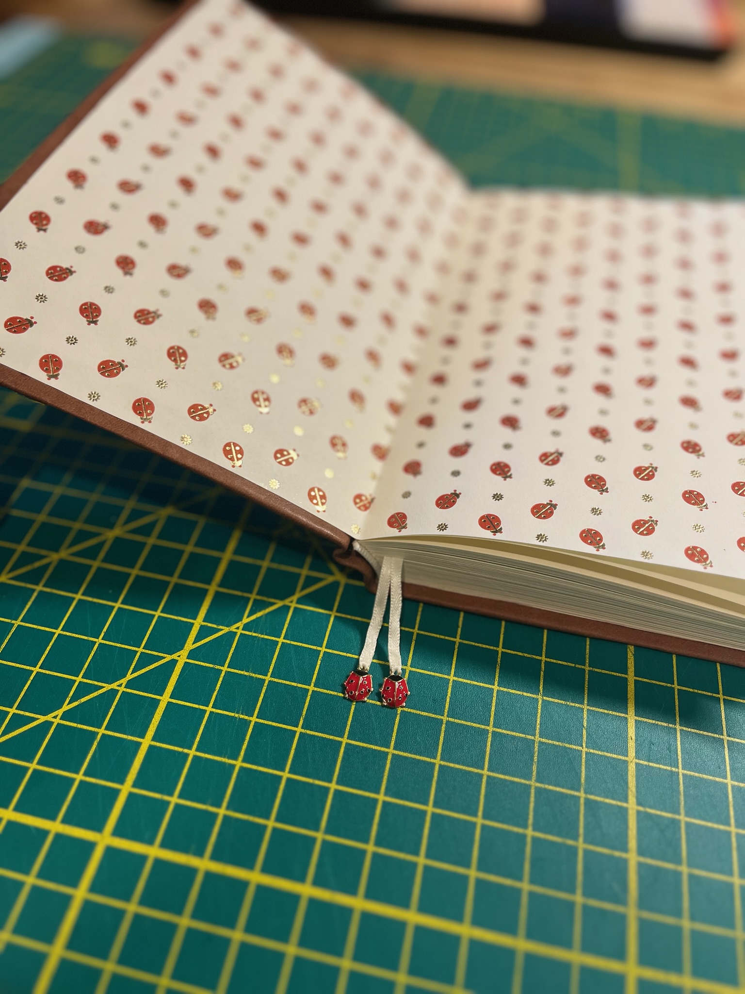 Ladybug Journal photo 3