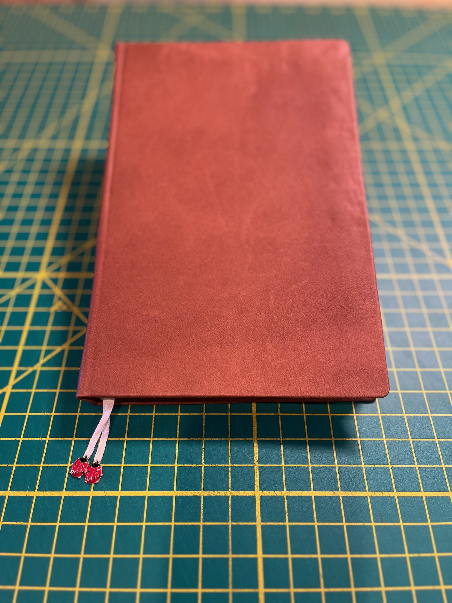 Ladybug Journal photo 4