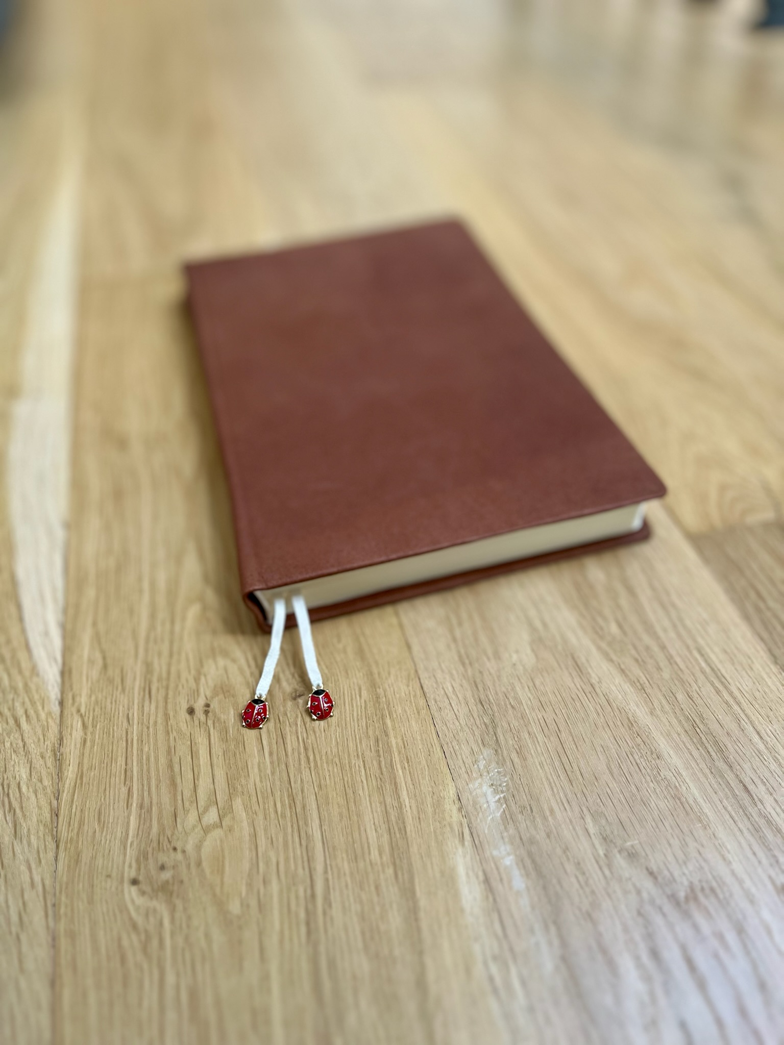Ladybug Journal photo 5