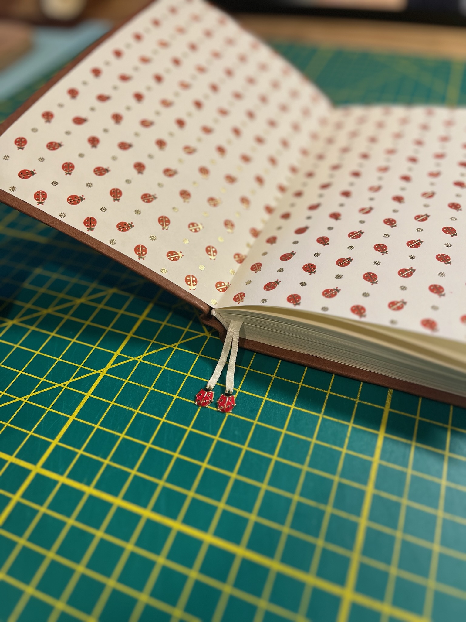 Ladybug Journal photo 6