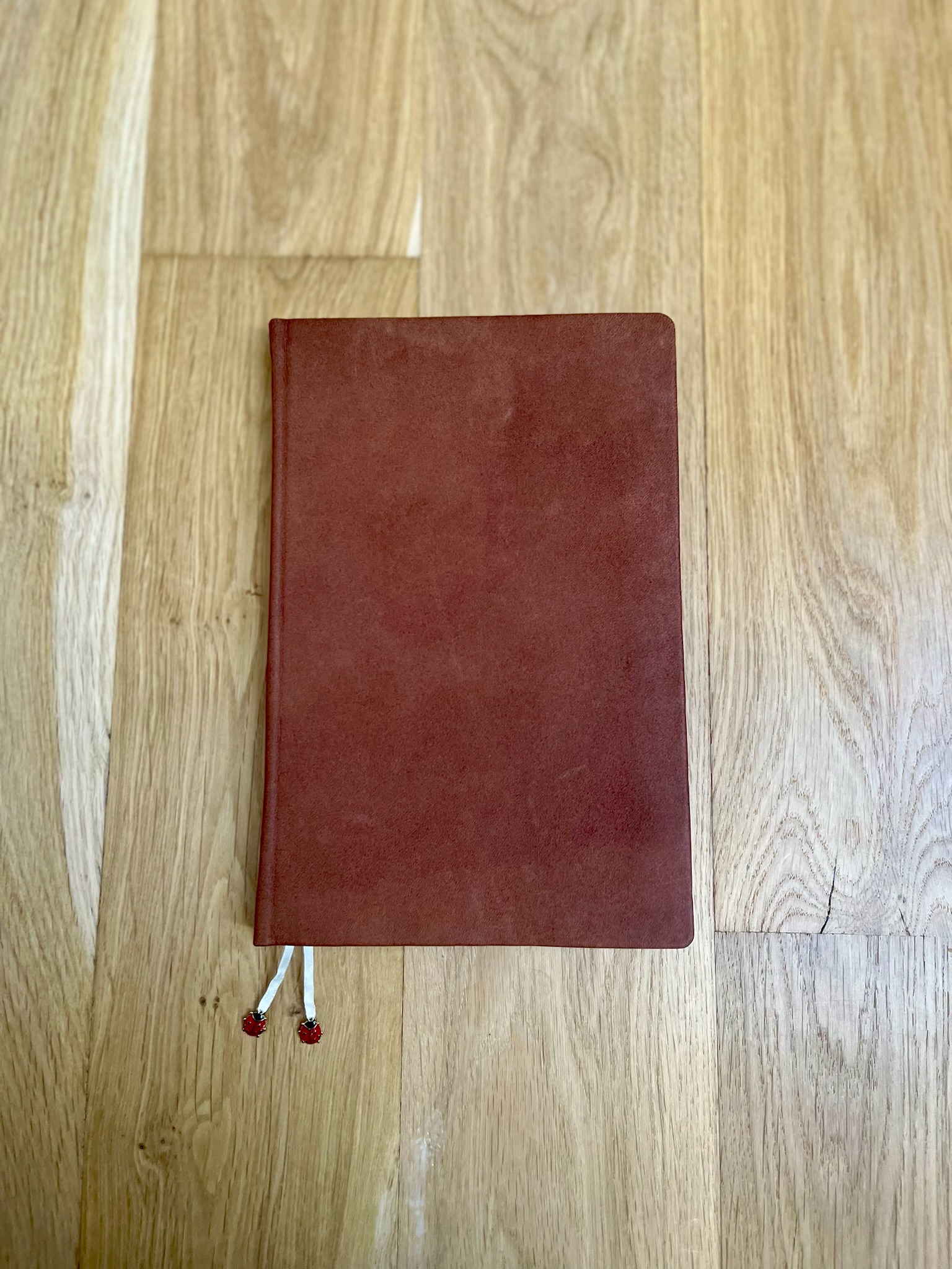 Ladybug Journal photo 7