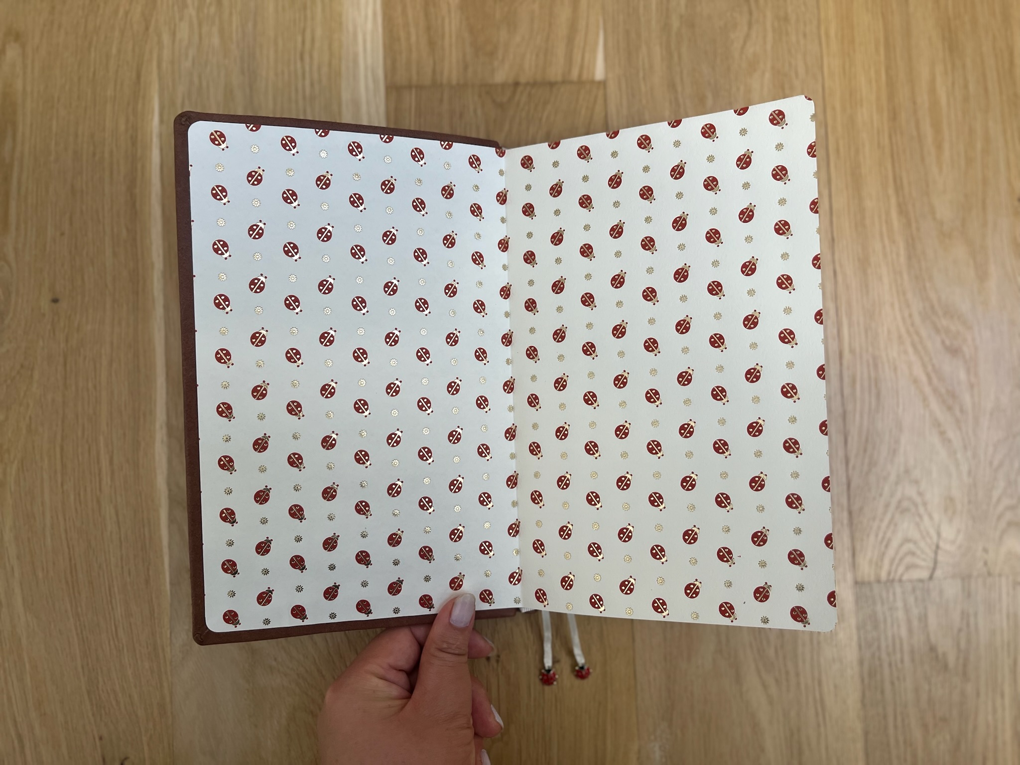 Ladybug Journal
