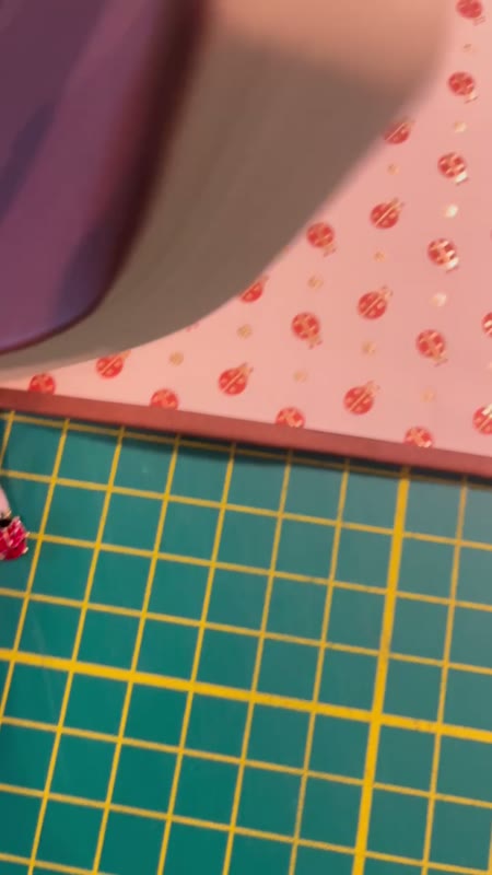 Ladybug Journal video 1